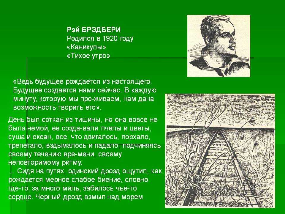 My summer holidays - примеры сочинения на тему каникул с переводом