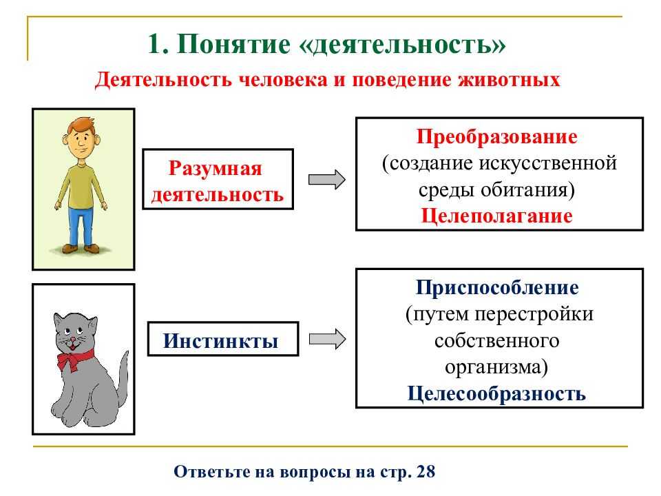 Социальная сфера. в чем суть социальных потребностей человека, откуда начинаются эти потребности