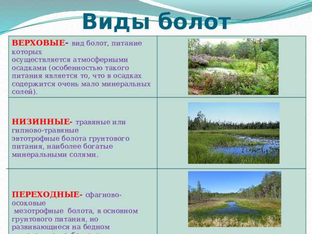 Чему учит сказка-быль «кладовая солнца» – смысл и мораль сказки, что хотел сказать м. пришвин названием?