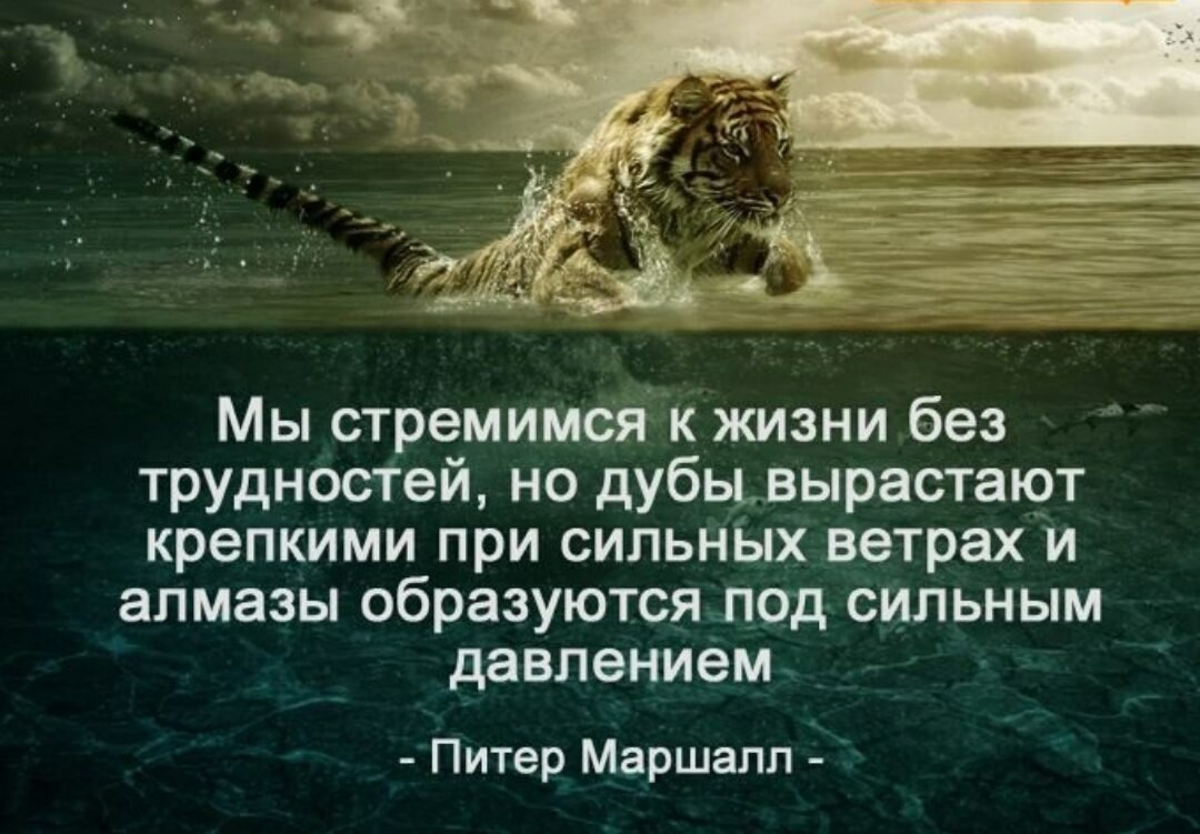Что помогает справиться с трудностями: какие качества разрешают возникшее в жизни