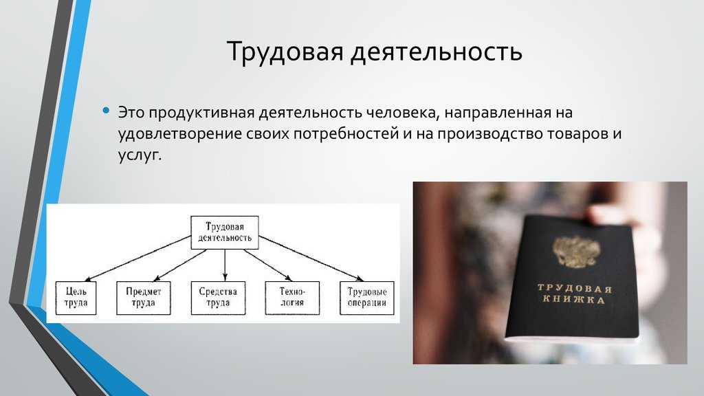 Урок 4: что такое труд? - 100urokov.ru