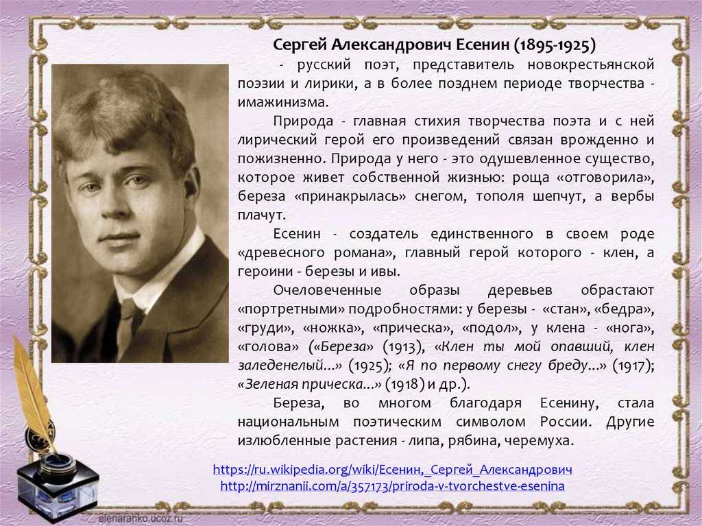 Анализ стихотворения «береза» с. есенина