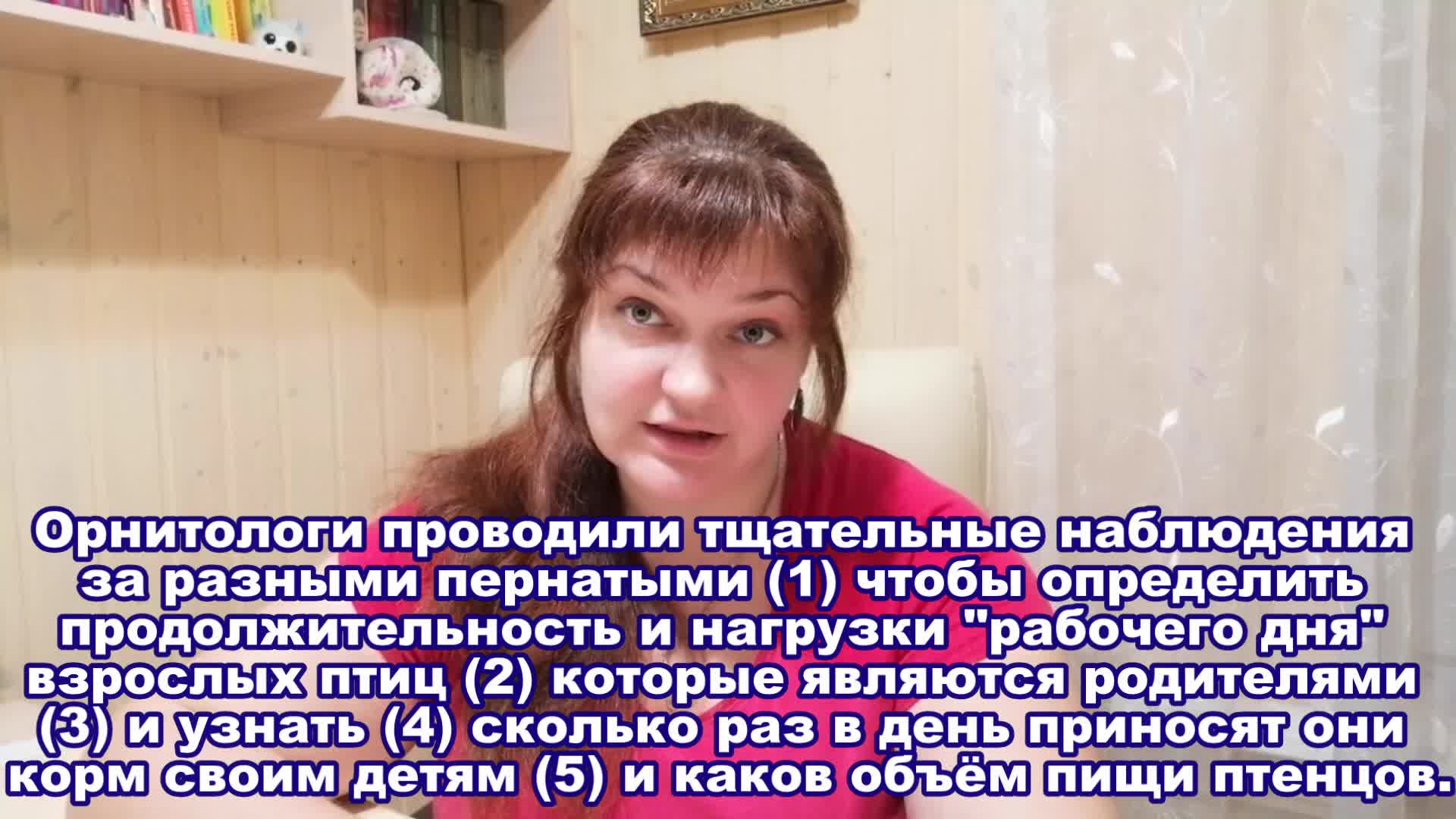 Подробная инструкция по составлению плана к рассказу «кукла» николая носова для начинающих писателей