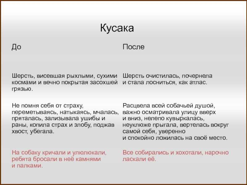 "кусака" - краткое содержание рассказа леонида андреева