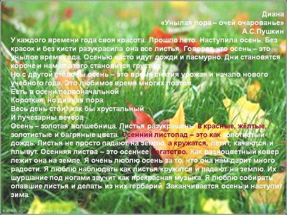 Сочинение на тему: моё любимое время года (5 вариантов и 4 похожих топика)