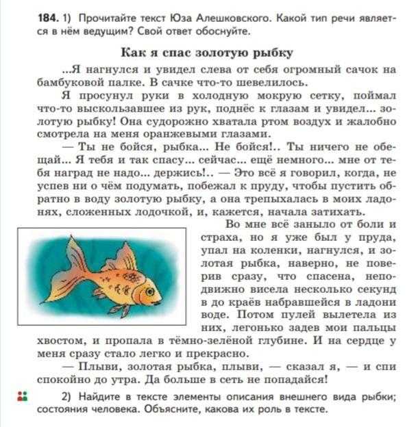 Моя любимая сказка пушкина сочинение по сказке о рыбаке и рыбке 4-5 класс