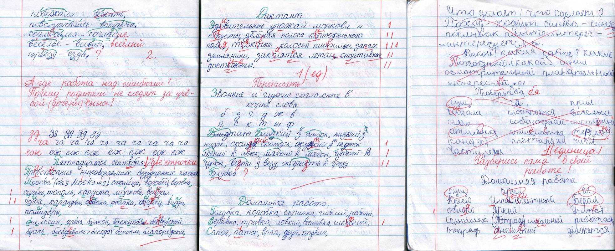 17 лошадей