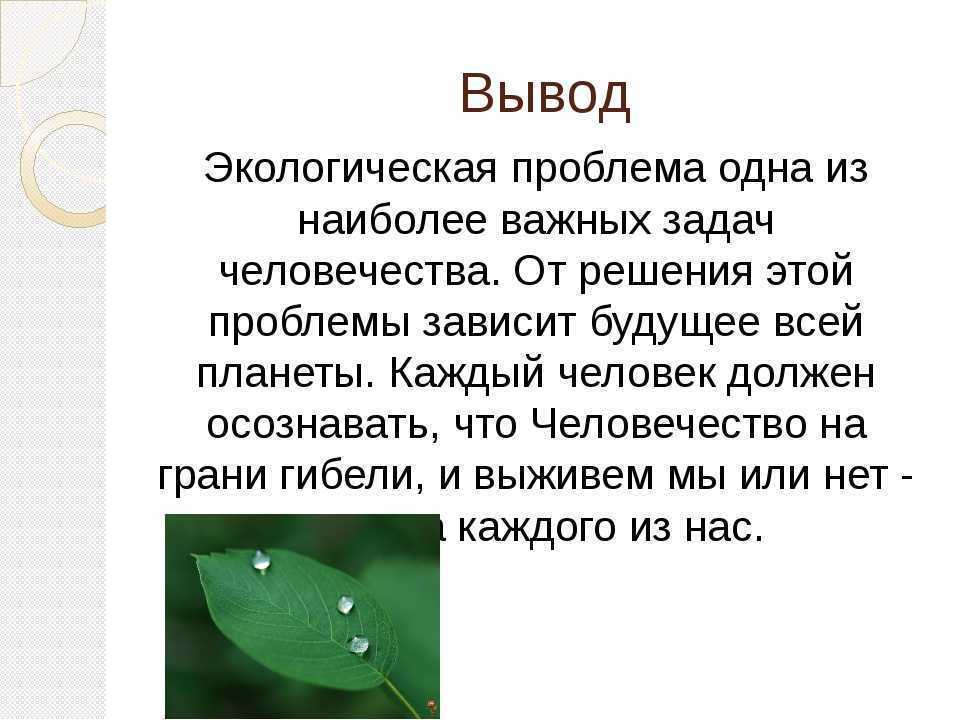 Сочинение на тему: "экология русского языка" ✒️ современные проблемы и вопросы чистоты речи, причины загрязнения, аргументы - егэ live