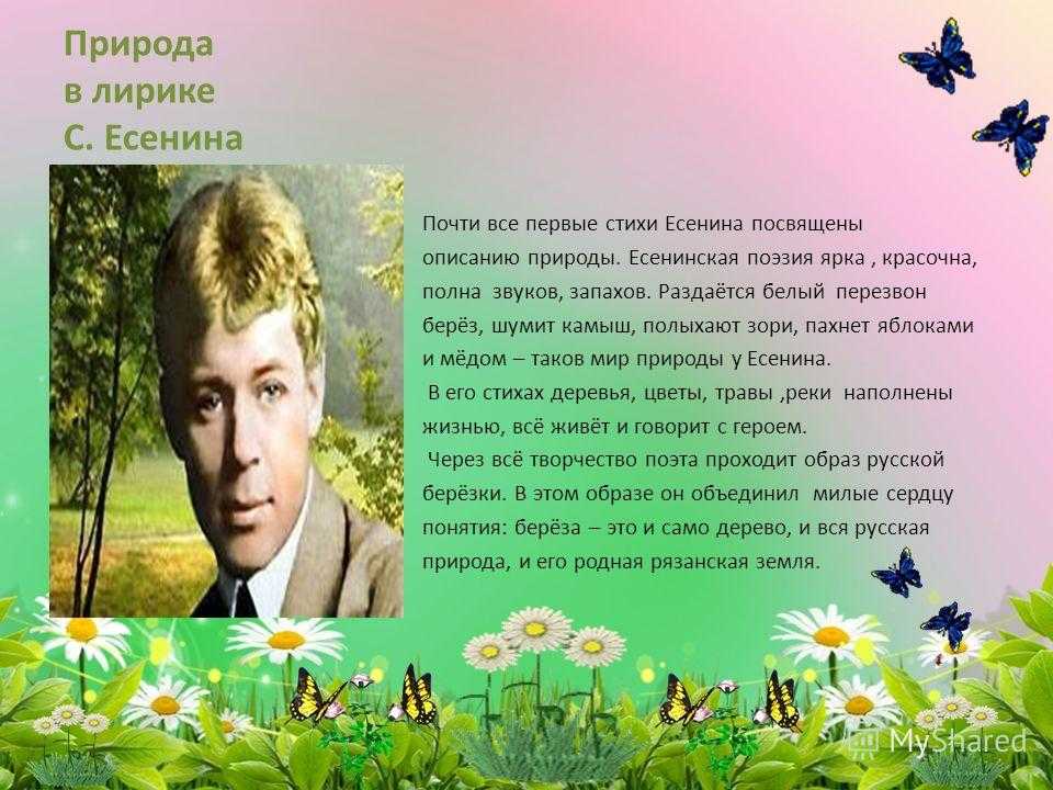 Образ природы в лирике сергея есенина