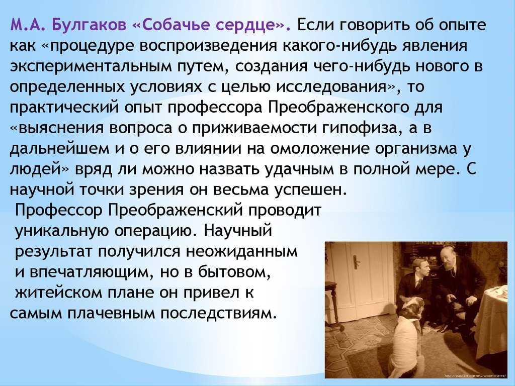 «собачье сердце»: смысл, анализ и проблематика повести булгакова - много смысла