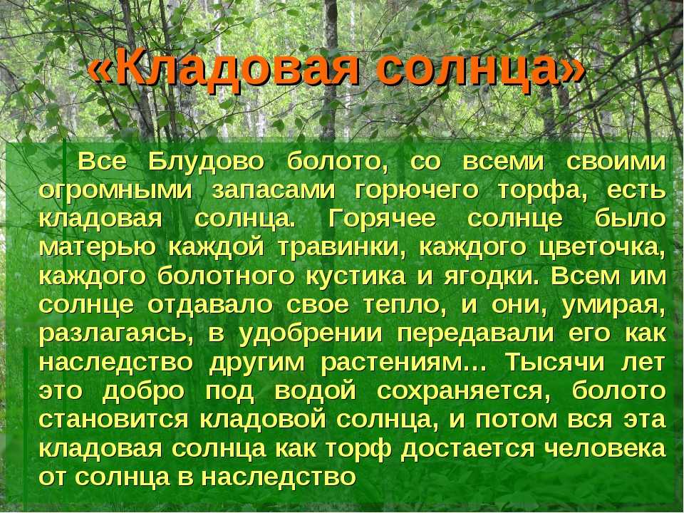 Чему учит сказка «кладовая солнца»: как не сгинуть в болоте, если тебе всего 10 лет?