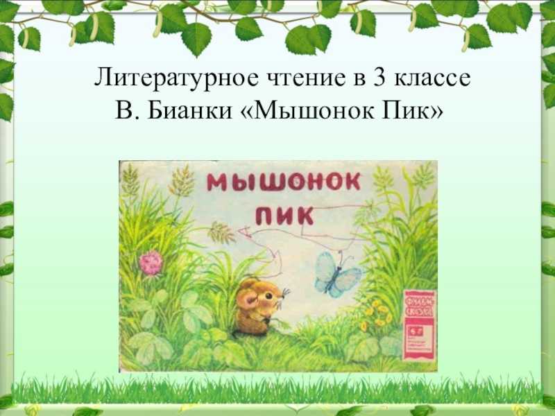 Анализ сказки мышонок пик бианки