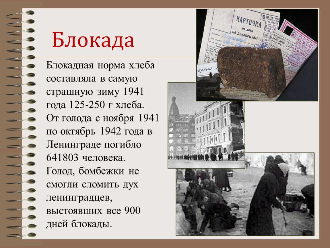 «в нечеловечески тяжёлых условиях»: как блокадный ленинград стал символом стойкости в борьбе с нацизмом