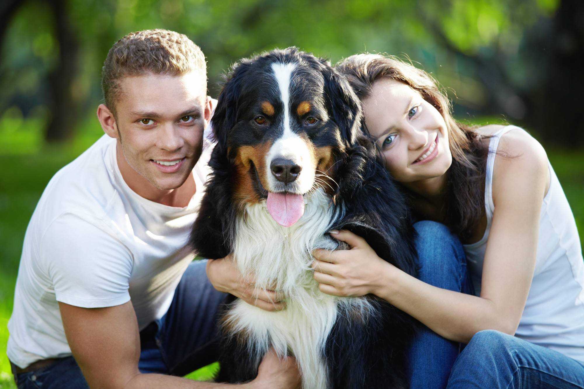 My pet – мой домашний питомец (домашнее животное). текст на английском языке с переводом и аудио