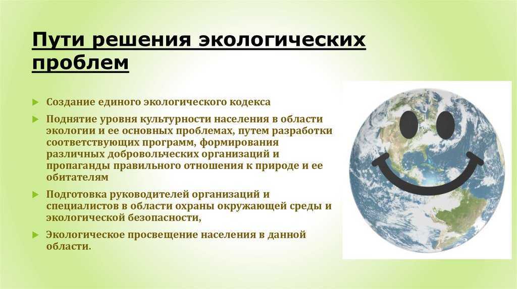 Экологические проблемы современного общества и их пути решения