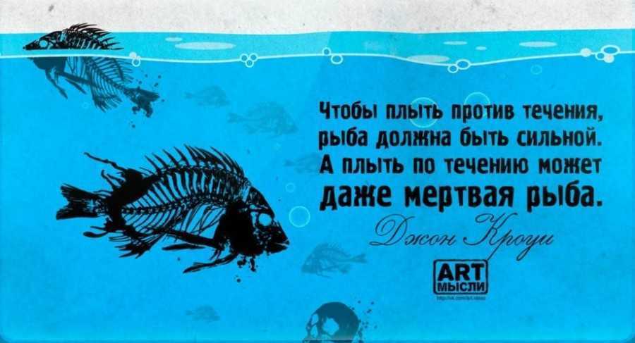 Не время для «охоты на ведьм»: почему людям нужно сменить акценты в спорах по теме сво?