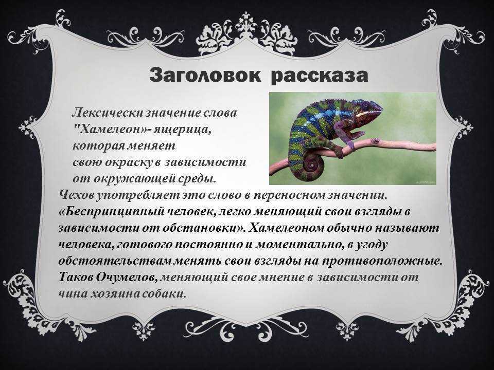 Сочинение по  рассказу а. п. чехова «хамелеон» готовое изложение
