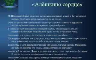 «алёшкино сердце» краткое содержание рассказа шолохова – читать пересказ онлайн