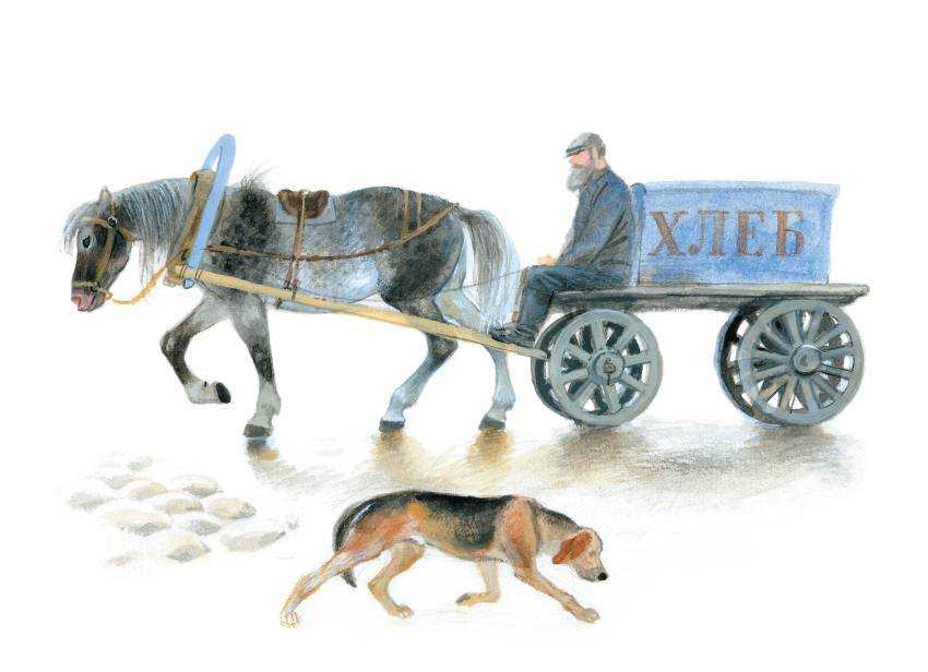 Юрий казаков - арктур - гончий пёс » книги читать онлайн бесплатно без регистрации