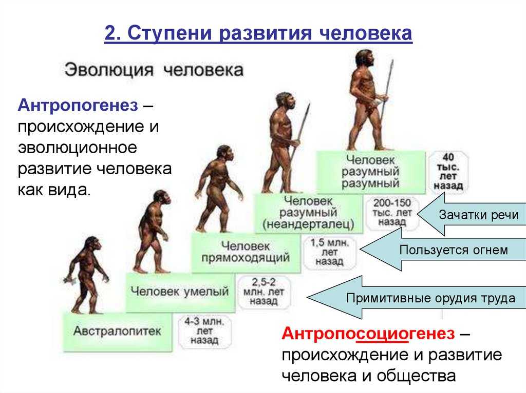 Сочинение на тему: саморазвитие (2 варианта и 5 похожих топиков)