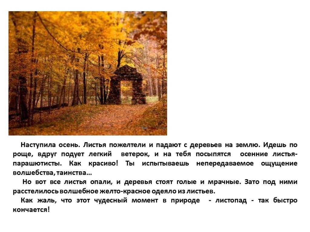 Детям от 5 до 8 лет. полянка в лесу 🎧 аудиокнига слушать онлайн ✔️ автор(ы) - михаил пришвин