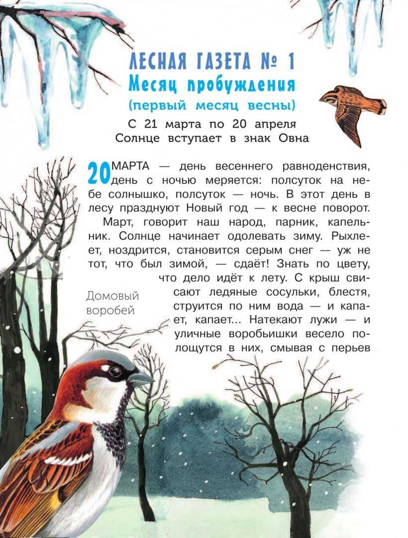 Сообщение о бианки для 2, 3 класса доклад