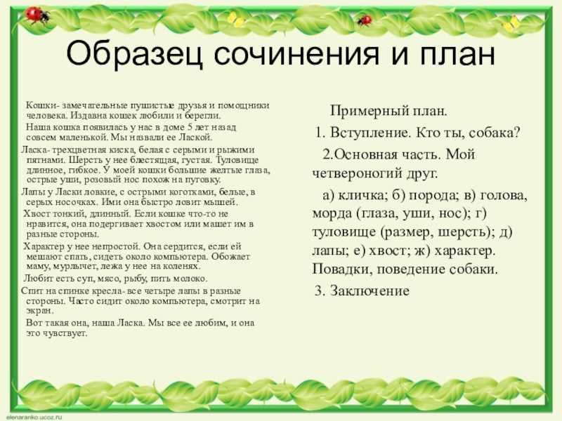 Сочинение про собаку 5 класс русский язык - научные работы на obuchim24.ru