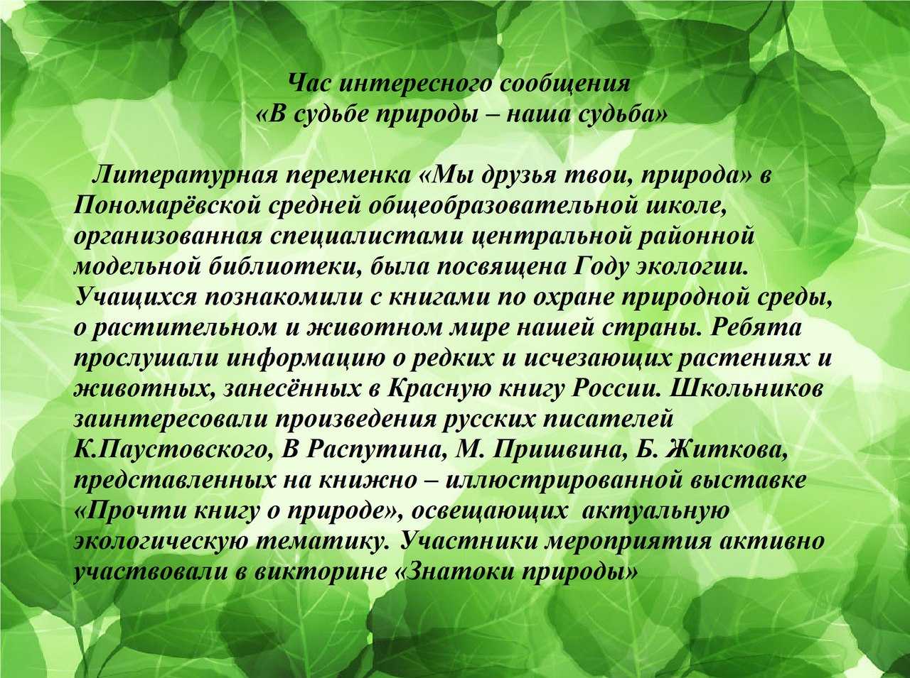 «экология русского языка»: 8 сочинений 2023 года