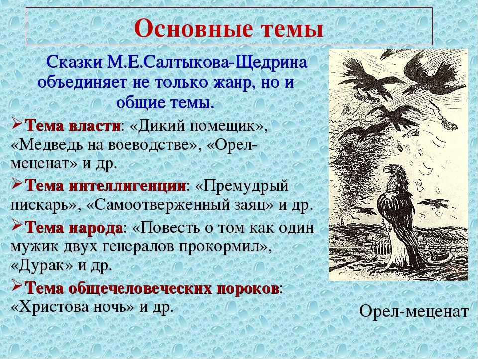 Почему салтыков щедрин обратился к жанру сказки кратко