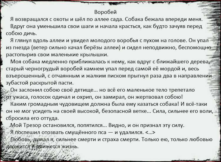 Анализ произведения тургенева «воробей» | литерагуру