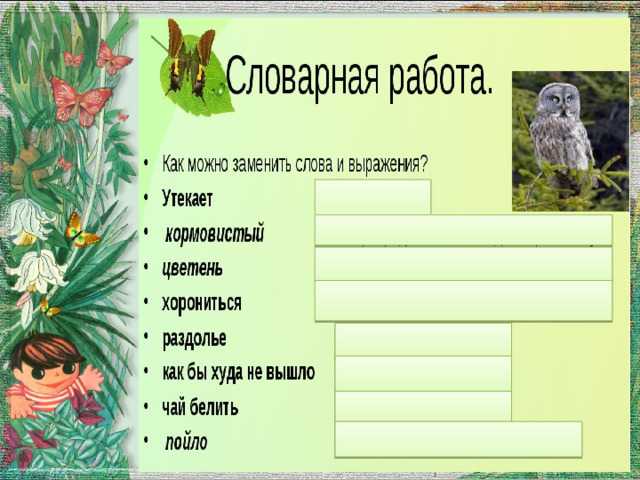 Сова читать онлайн