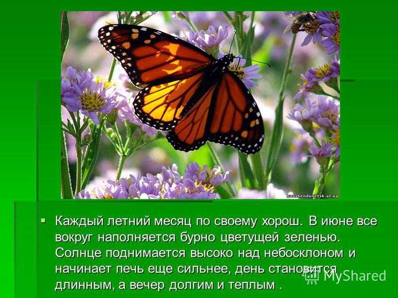 Лето это пора путешествий