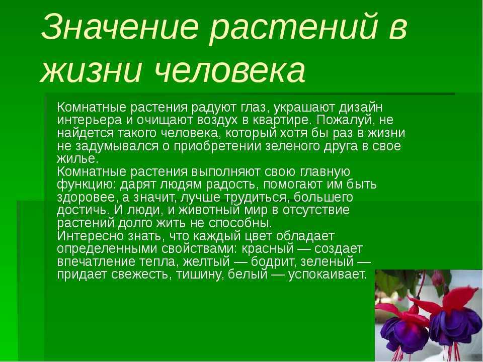 8 сочинений на тему «верность» для огэ 9.3