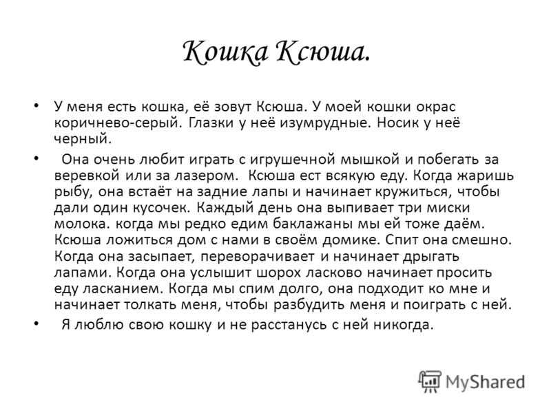Сочинения на тему «мое домашнее животное» ✔️