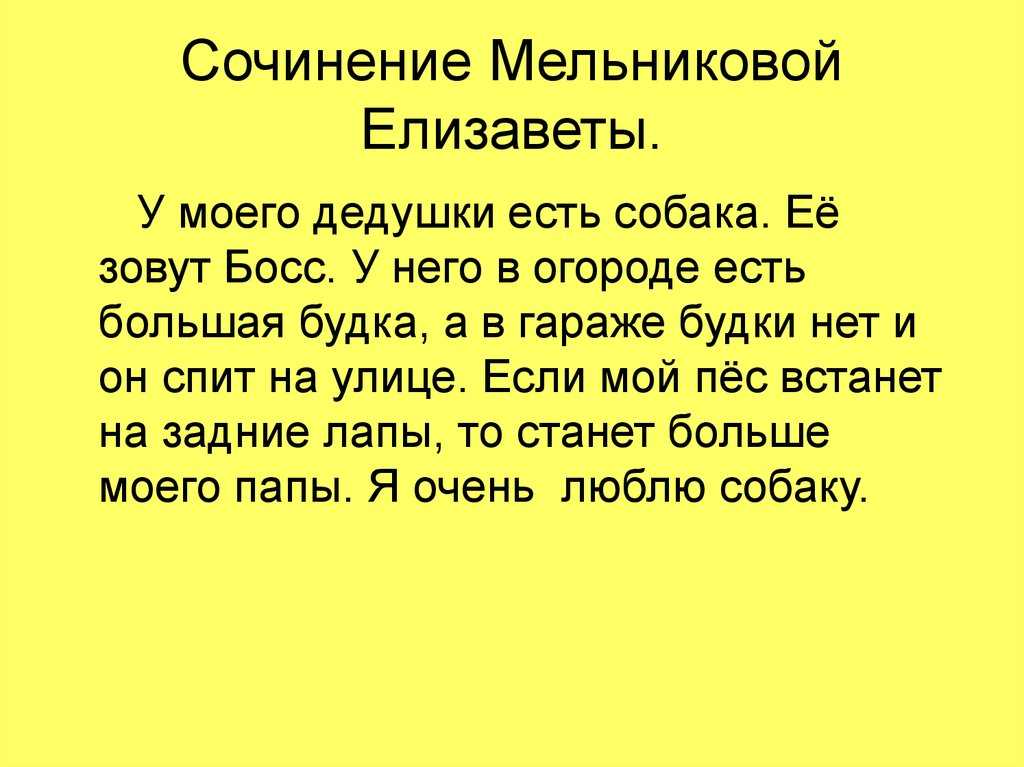 Мой четвероногий друг сочинение 5 класс что необычного с ним случилось про овчарку — сложные вопросы простые ответы