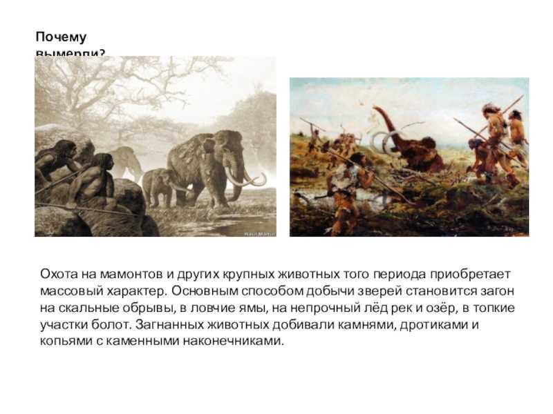 Образ и характеристика мечика в романе разгром фадеева сочинение. образ и характеристика мечика в романе разгром фадеева сочинение несколько интересных сочинений