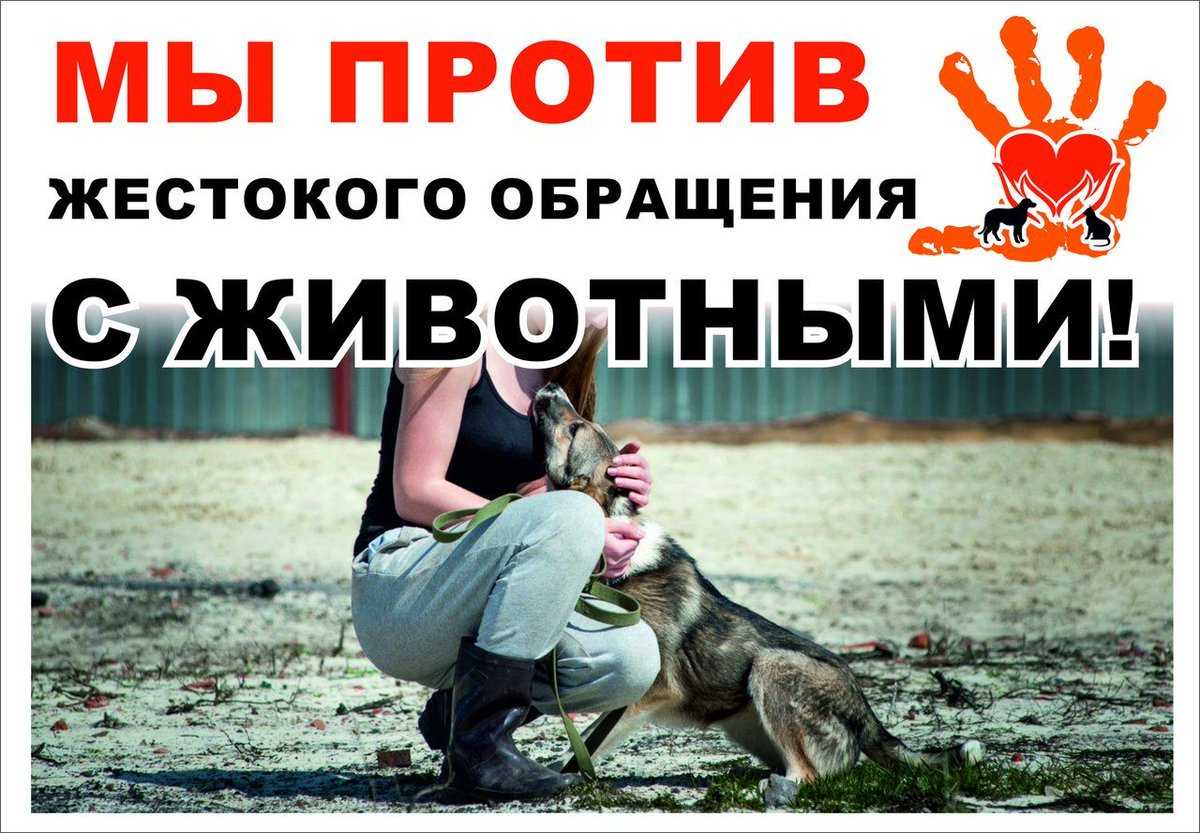Что означает отсутствие любви к животным у человека