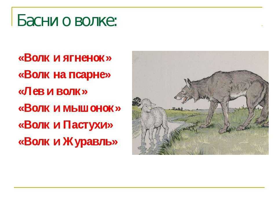 «волк и ягненок»: сила против бессилия, а также наоборот