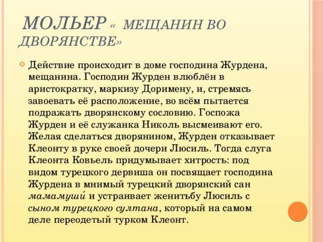 «мещанин во дворянстве» характеристика героев
