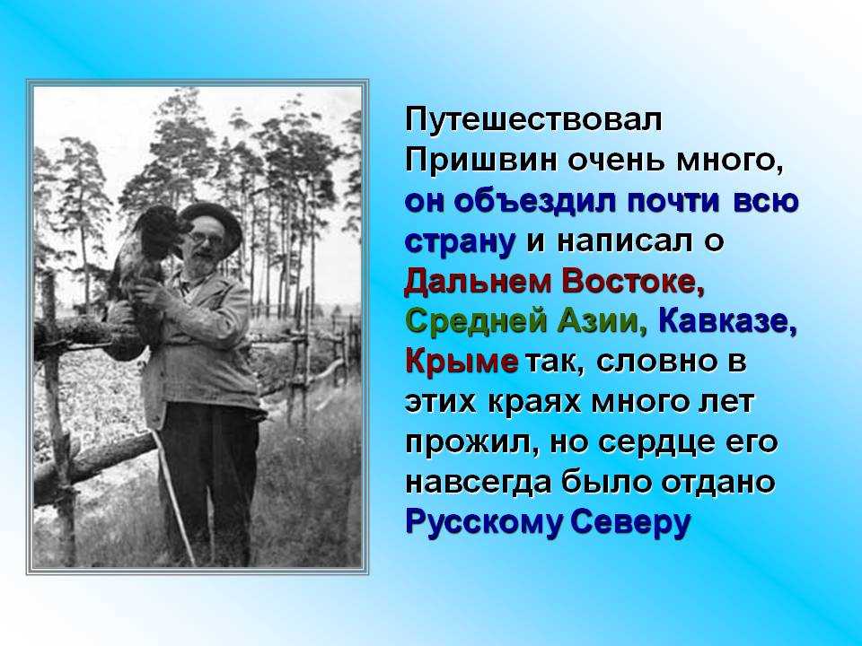 Голубая стрекоза анализ кратко