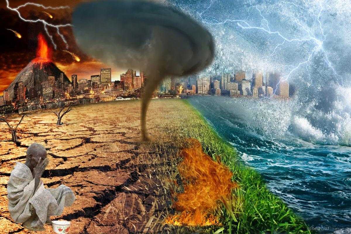 Самые опасные в мире - окружающий мир для любознательных | некоммерческий учебно-познавательный интернет-портал зоогалактика
