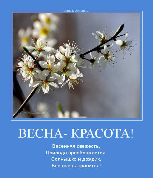 Приход начала весны: сочинение (на тему весны 3,4,5,6,7 классы)