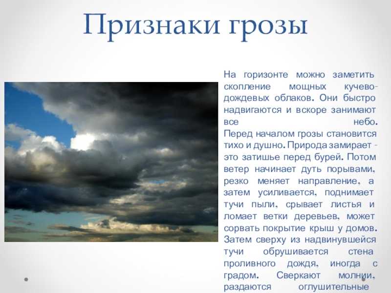 Сочинение на тему что такое красота? 9 класс