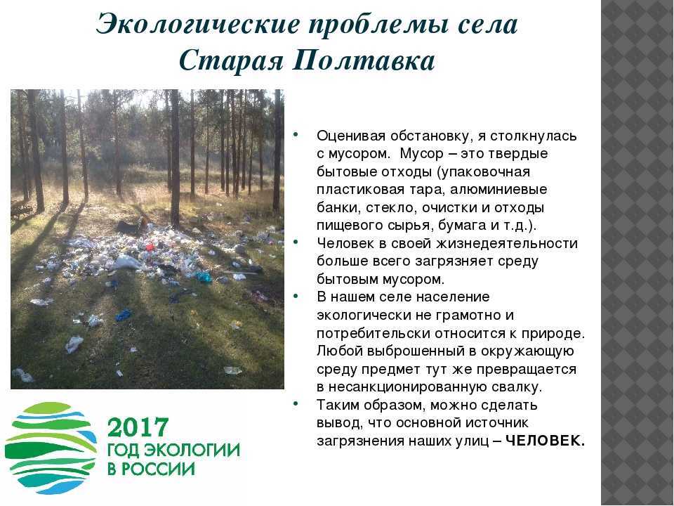 Что такое экология стр. 24 - 28. окружающий мир 3 класс 1 часть учебник плешаков а.а.