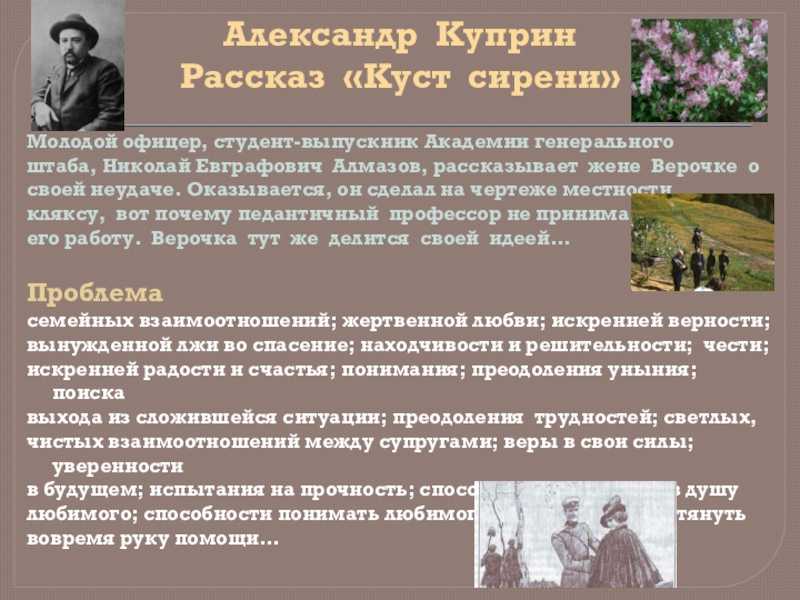 Сочинение рецензия куст сирени