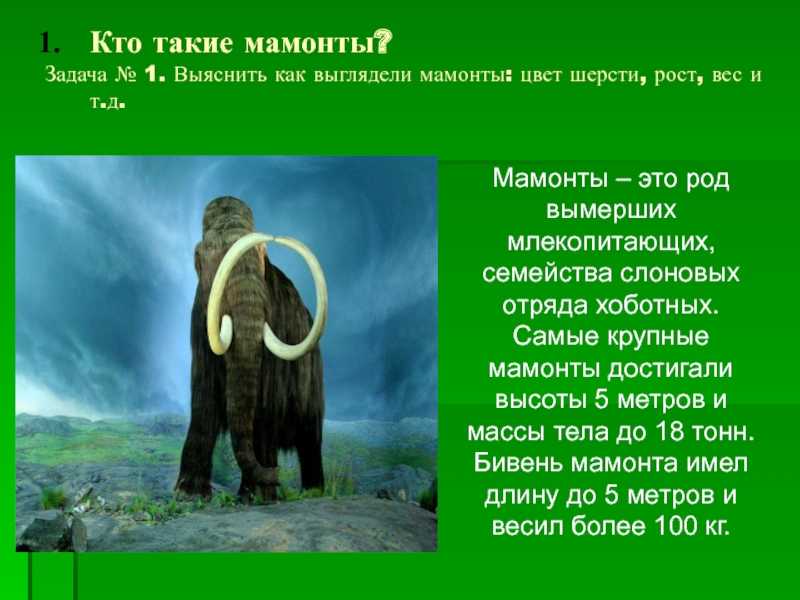 Хрюмины горе от ума характеристика с цитатами