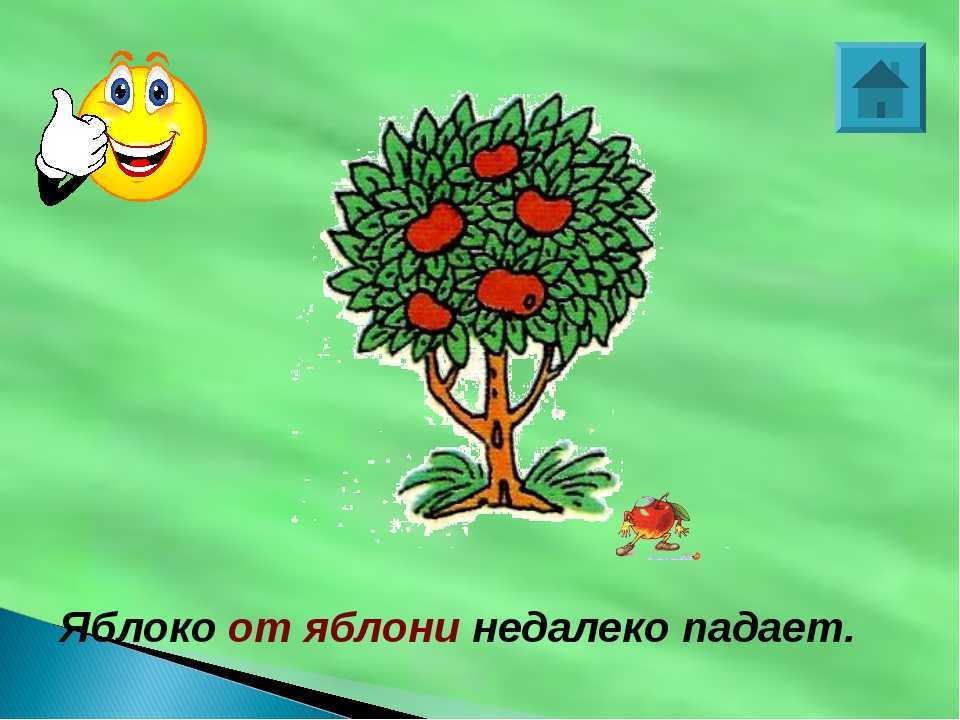 Яблоко от яблони недалеко падает (образ митрофана в комедии д. и. фонвизина «недоросль») - коллекция сочинений 9 класс - сочинение по русской литературе - сочинение по зарубежной литературе - лучшие сочинения - сочинение на свободную тему