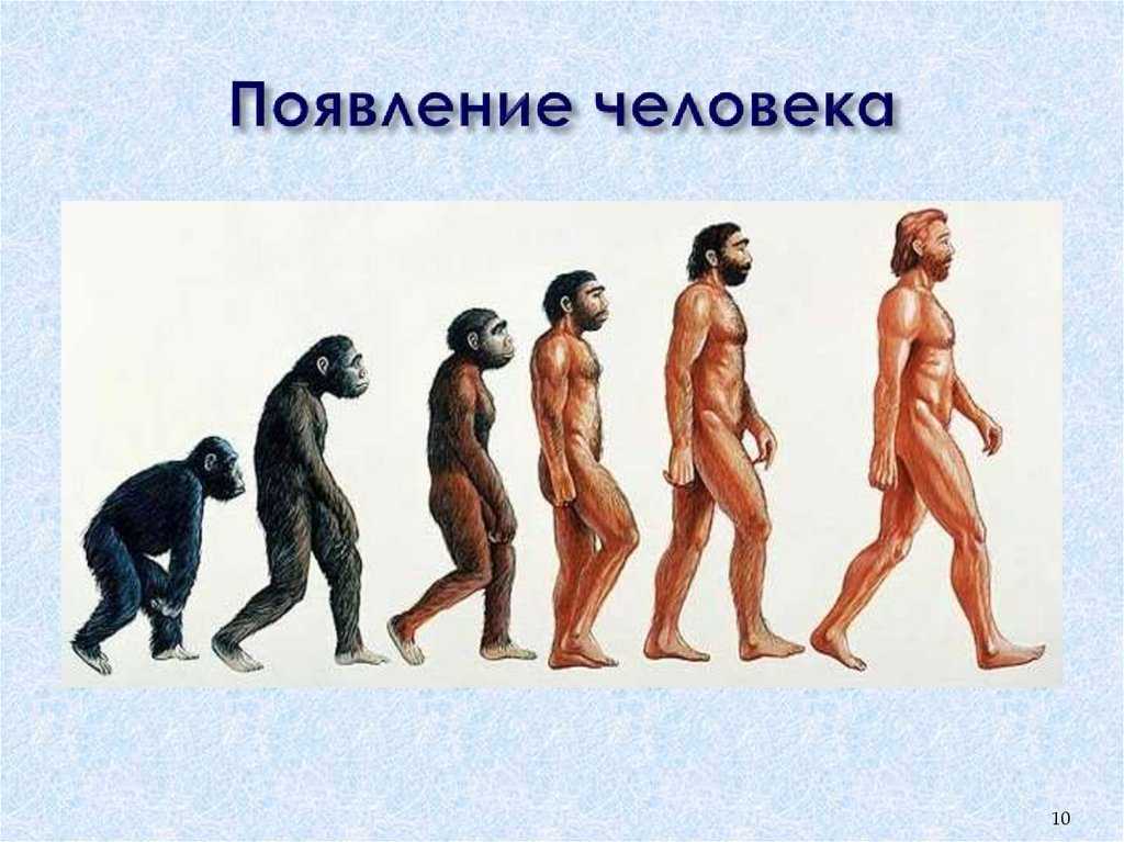 Что значит быть человеком сочинение. сочинение на тему: «что значит быть человеком с чистым сердцем? рассуждение что значит быть человеком