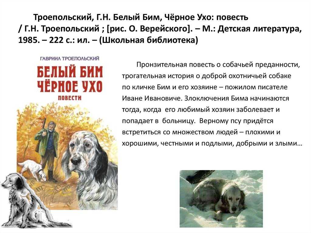 Написать сочинение по книге белый бим чёрное ухо - сочинютка.ру