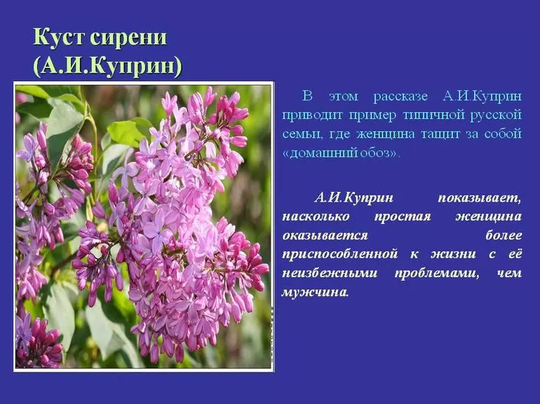 Характеристика алмазова в цитатах